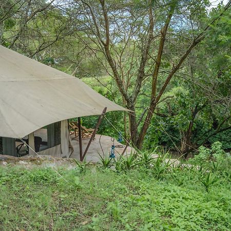 Dolly Farm & River Camp, Luxury Tents Usa River Dış mekan fotoğraf