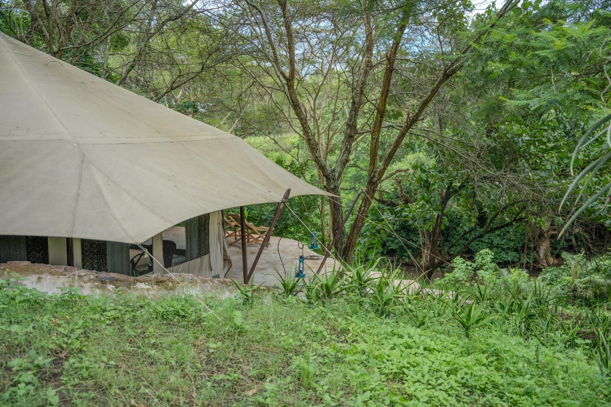Dolly Farm & River Camp, Luxury Tents Usa River Dış mekan fotoğraf
