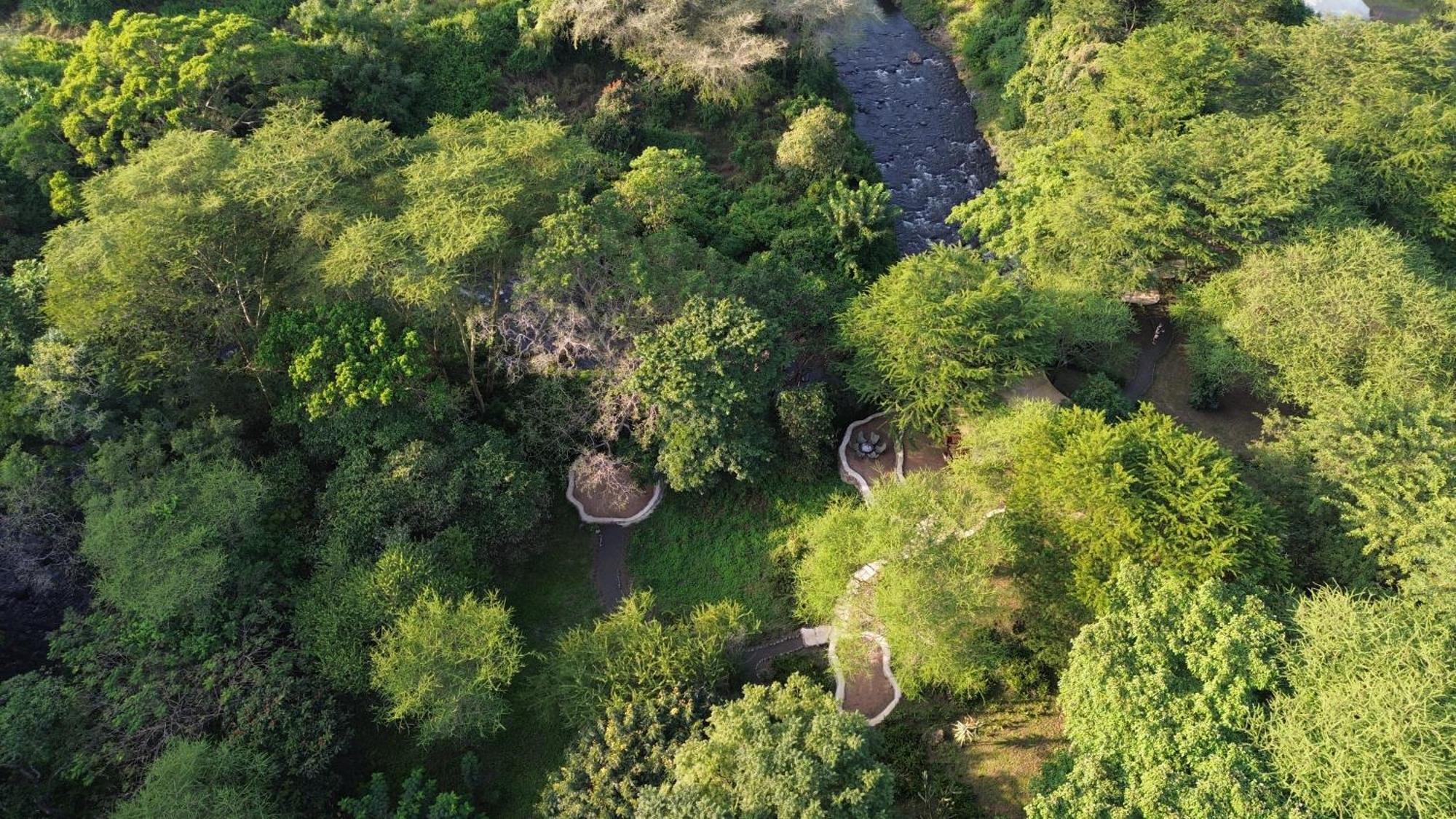Dolly Farm & River Camp, Luxury Tents Usa River Dış mekan fotoğraf